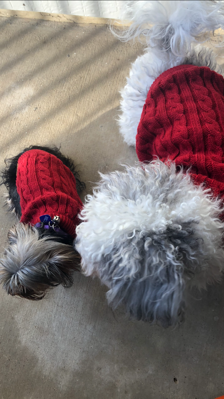 Red Dog Sweater