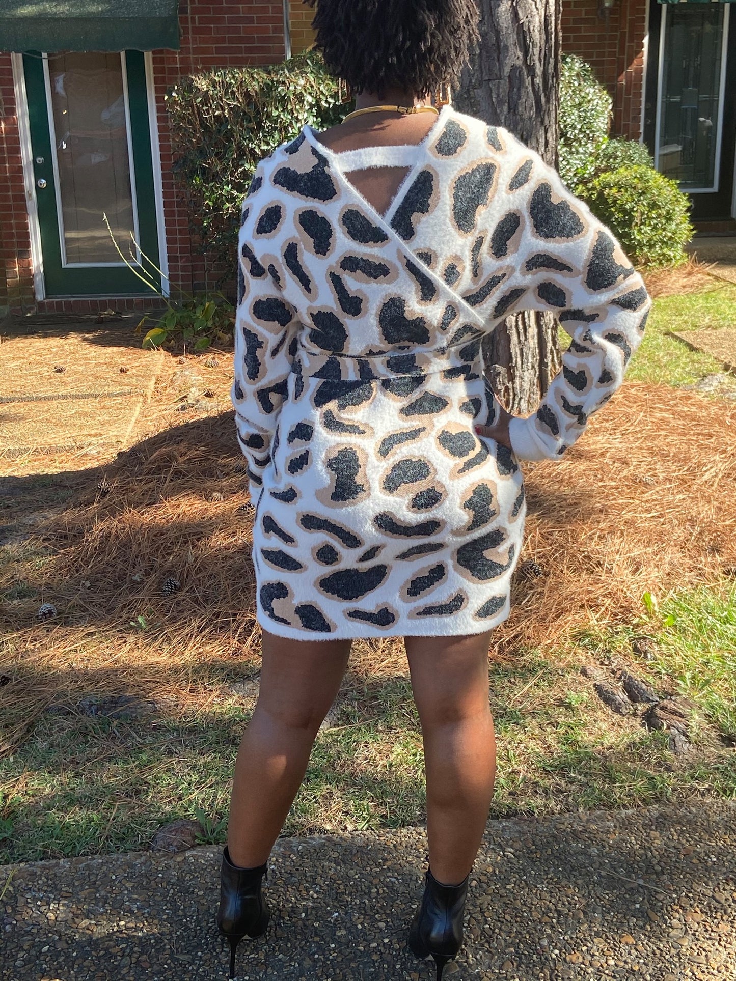 Leopard Print Sweater Dress