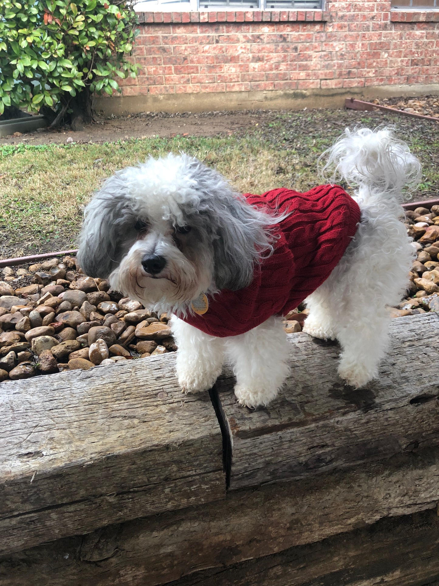 Red Dog Sweater