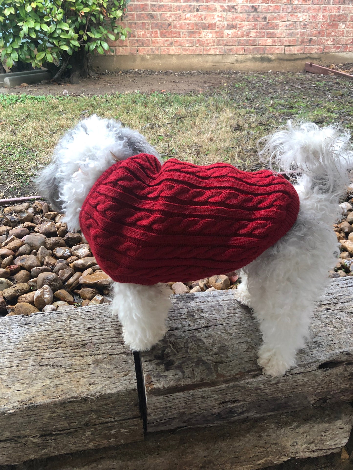 Red Dog Sweater